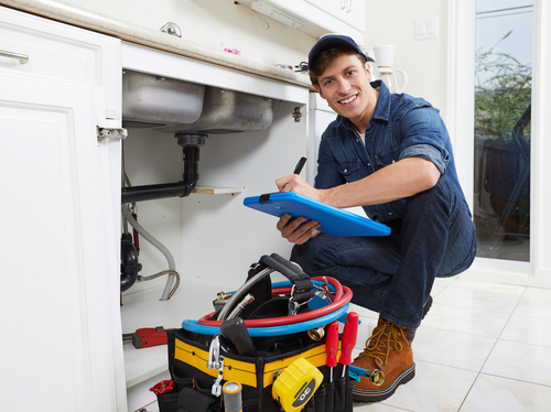 new-homeowner-plumbing-inspection-winfield-il